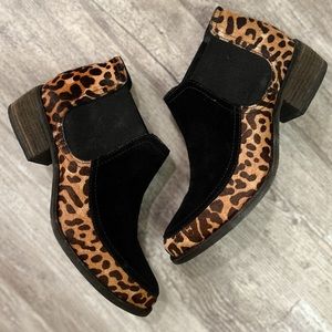 Matisse Leopard Black Brown Suede Chelsea Boots Heeled Animal Print Sz 7 EUC